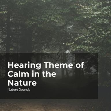 Nearby the Waterfalls