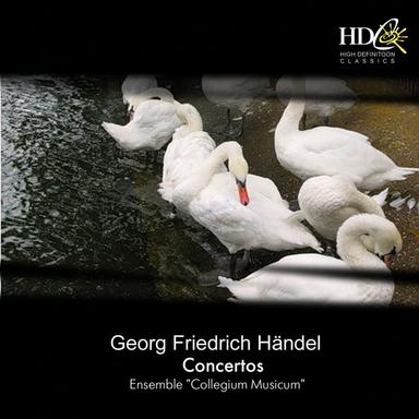 Concerto grosso Op. 3 No.5 in D minor : V. Allegro