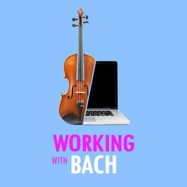 Violin Concerto No. 1 in A minor, BWV 1041: 1. Allegro moderato