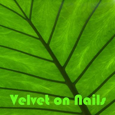Velvet On Nails