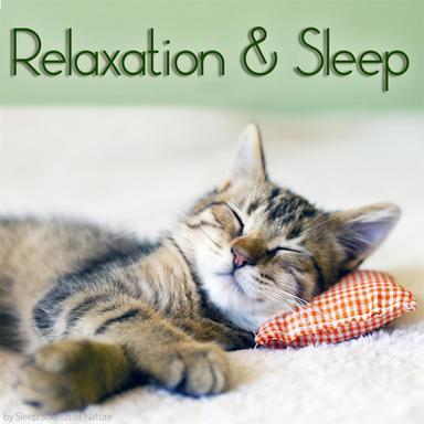 Sleep Sounds of Nature