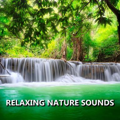 Deluxe Outdoor Nature Recording