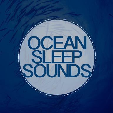 Waves: The Power of the Sea