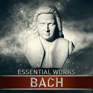 Concerto No. 1 in A Minor for Violin and Strings, BWV 1041: I. Allegro moderato