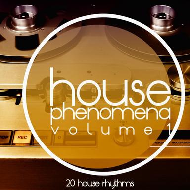 Everyone at the Party - House Grooves Mix