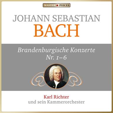 Brandenburgisches Konzert No. 6 in D Major, BWV 1051: II. Adagio ma non tanto