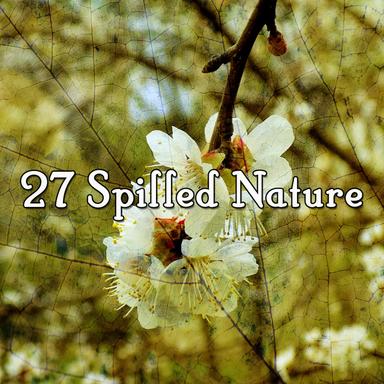 Mother Nature