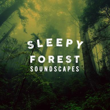 Camping in the Woods
