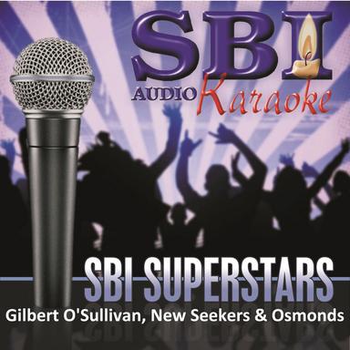 Soldier of Love (Karaoke Version)