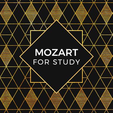 Symphony No. 25 in G minor, K.183: 2. Andante