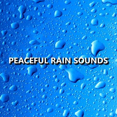 Pure Eventide Rainfall Sounds