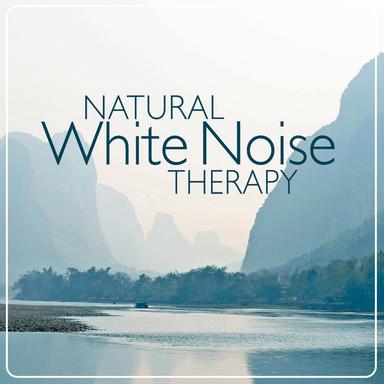 White Noise: Brown Wave