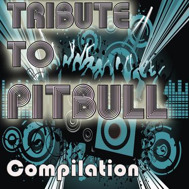 Give Me Everything Tonight