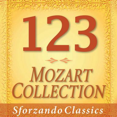 The Magic Flute "Die Zauberflöte", K.620: Overture