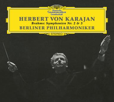 Symphony No. 2 In D Major, Op. 73: 2. Adagio non troppo - L'istesso tempo, ma grazioso