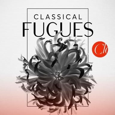 Chromatic Fantasia & Fugue in D Minor, BWV 903: II. Fugue