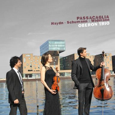 Piano Trio No. 1 in D Minor, Op. 63: I. Mit Energie und Leidenschaft