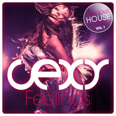 Just House Feel - Martin Sharp Remix