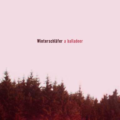 Winterschlafer - acoustic