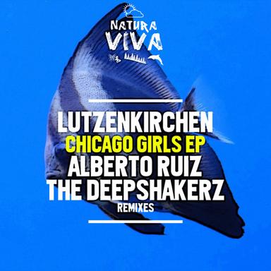 A Bird Called Stroke - Original Mix