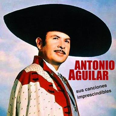 Al Pie del Cañón