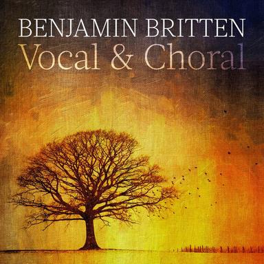 A boy was born, Op. 3 : Variation 5: In the bleak mid-winter