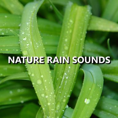 Unique Dusk Rain Sounds