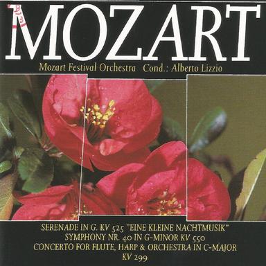 Symphony No. 40 in G Minor, K. 550: I. Molto Allegro