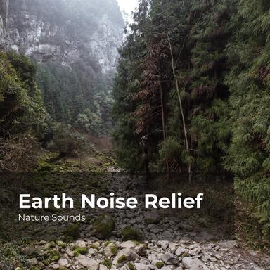 Bubbling River Stream