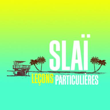 Leçons Particulières - Single version
