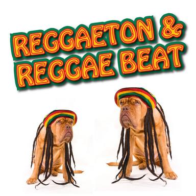One Drop Reggae - Radio Version