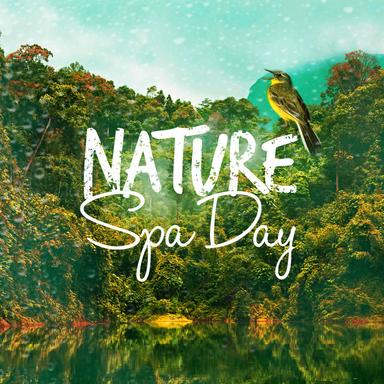 Regular Size Waves on Beach