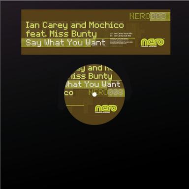 Say What You Want - Ian Carey Dub