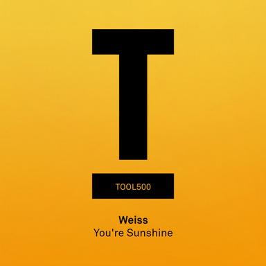 You're Sunshine - Extended Mix