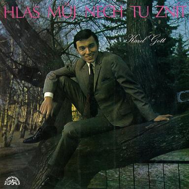 Kvůli vám (Born To Lose)