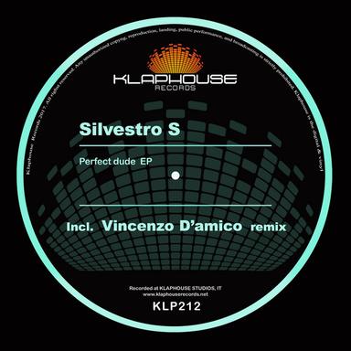 Perfect Dude - Vincenzo D'amico remix