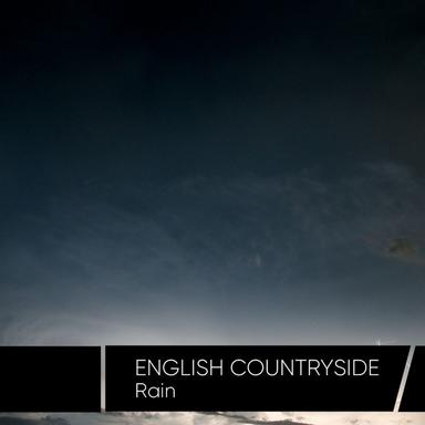 White Noise Rain to Loop