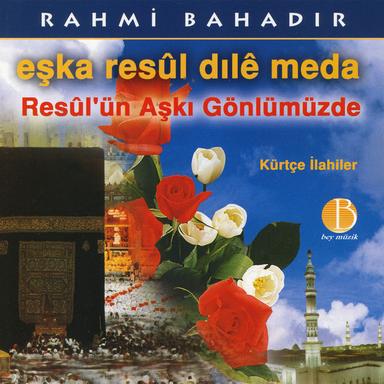 RR