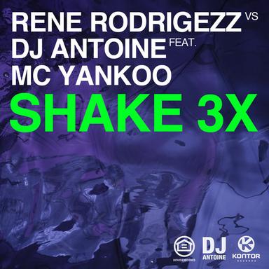 Shake 3x - Markus Gardeweg Remix