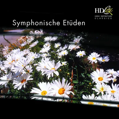 Waldszenen, Op. 82: : II. Jäger auf der Lauer (Hunter on the Lookout)