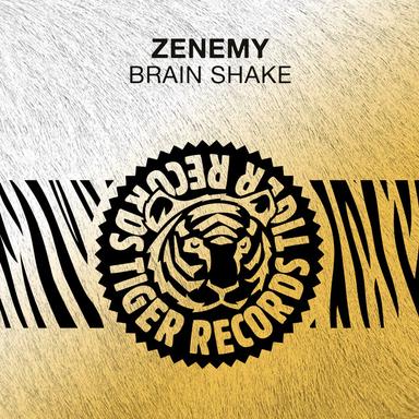 Brain Shake - Original Mix