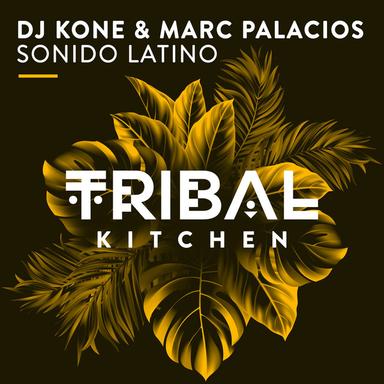Sonido Latino - Original Mix