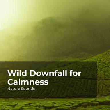 Rest in the Sea Shore