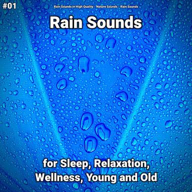 Rain Sounds for Serene Sleep