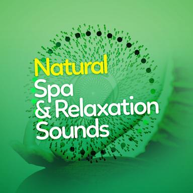 Birds at the Resevoir