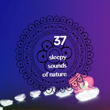 ConservatoryRainComesandGoes