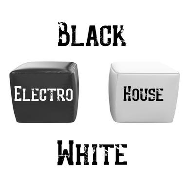 Black White Electro House