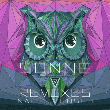 Sonne - Nico Pusch Remix