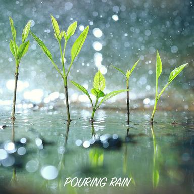 White Noise Rainfall