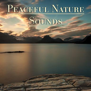 Calm Nature